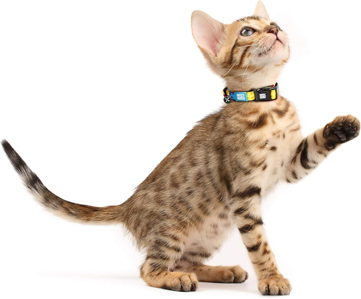 Zgarda Smart ID pentru pisici Max & Molly Urban Pets - Little Monsters - mărime 1