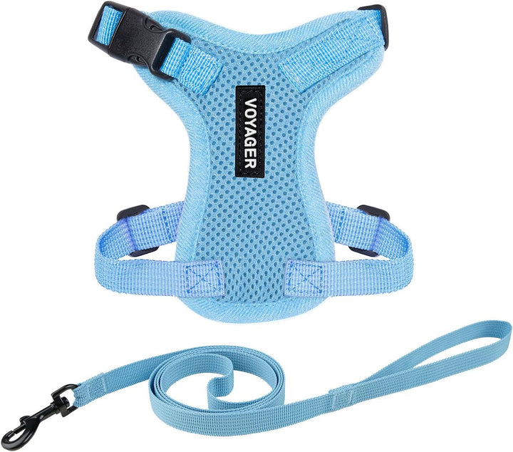 Kit Voyager, Ham anti-evadare pentru pisici cu lesă de 1,5 m, cusături reflectorizante, mâner din neopren, pentru pisici mici, medii și mari, garnitură verde lime/negru, mărimea XS