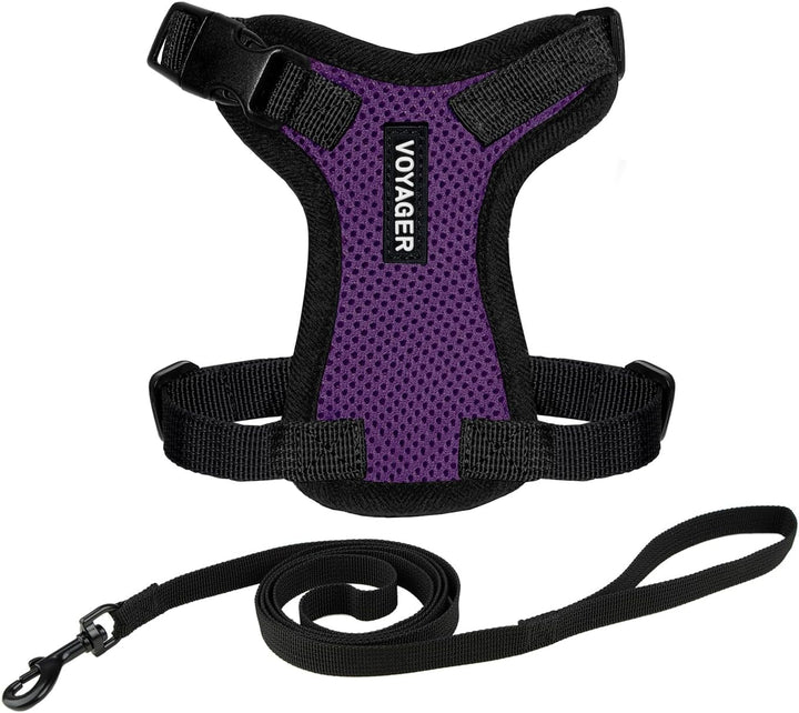 Kit Voyager, Ham anti-evadare pentru pisici cu lesă de 1,5 m, cusături reflectorizante, mâner din neopren, pentru pisici mici, medii și mari, garnitură verde lime/negru, mărimea XS