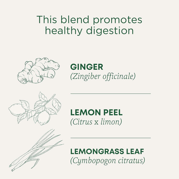 Organic Lemon Ginger Tea, 1.13 Oz, 16 Count Tea USA Naty Shop
