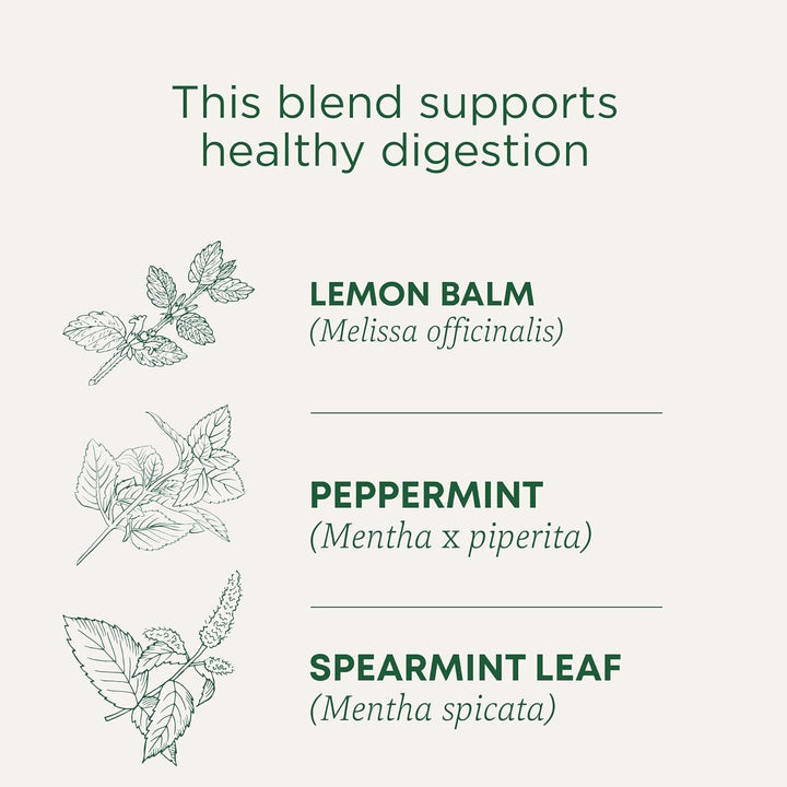 Tea, Organic Triple Mint, Supports Healthy Digestion, Includes 16 Tea Bags Tea USA Naty Shop