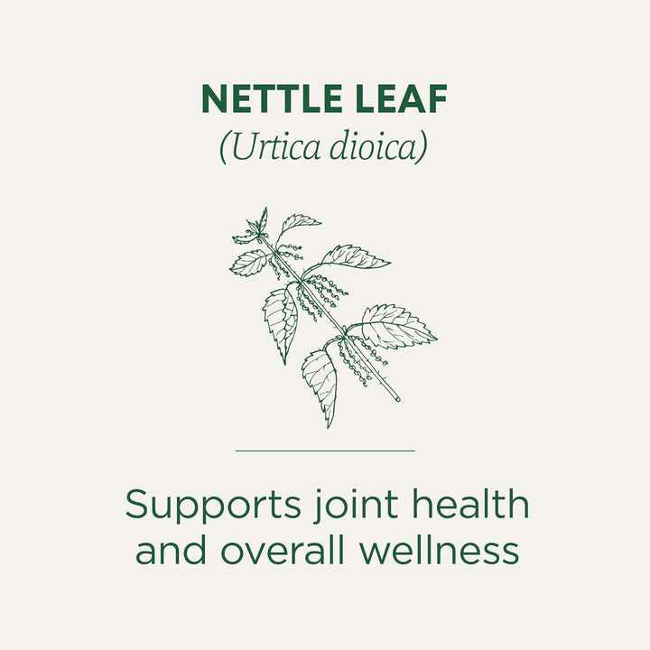 Organic Nettle Leaf Herbal Tea, Supports Joint Health & Overall Wellness, (Pack of 1) - 16 Tea Bags Tea USA Naty Shop