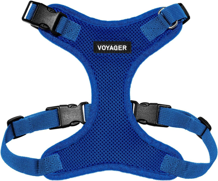 Kit Voyager, Ham anti-evadare pentru pisici cu lesă de 1,5 m, cusături reflectorizante, mâner din neopren, pentru pisici mici, medii și mari, garnitură verde lime/negru, mărimea XS