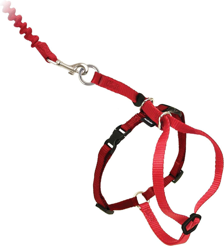 Ham și lesă elastică Petsafe Come with Me Kitty, ham pentru pisici, mărimea S, negru/argintiu