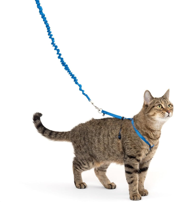 Ham și lesă elastică Petsafe Come with Me Kitty, ham pentru pisici, mărimea S, negru/argintiu