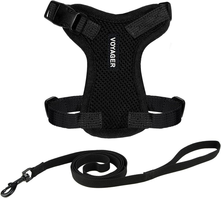 Kit Voyager, Ham anti-evadare pentru pisici cu lesă de 1,5 m, cusături reflectorizante, mâner din neopren, pentru pisici mici, medii și mari, garnitură verde lime/negru, mărimea XS