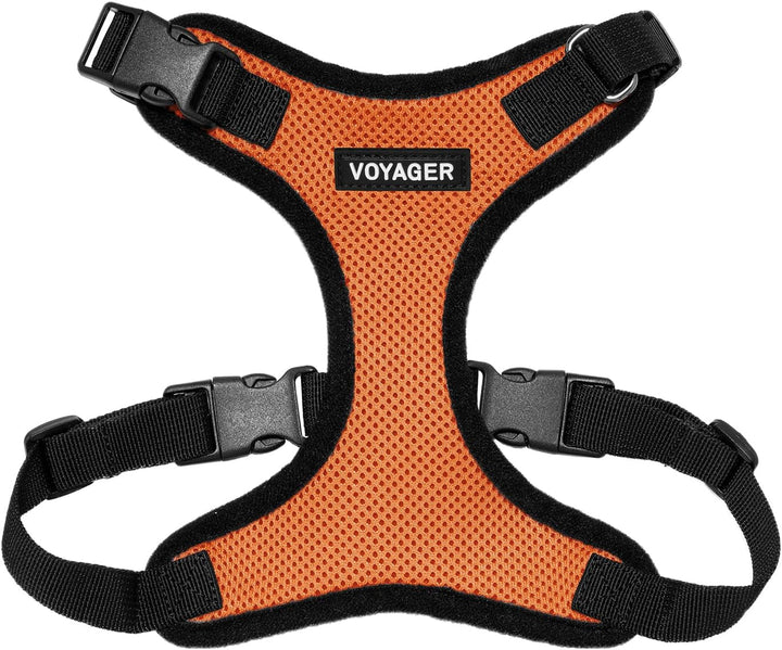 Kit Voyager, Ham anti-evadare pentru pisici cu lesă de 1,5 m, cusături reflectorizante, mâner din neopren, pentru pisici mici, medii și mari, garnitură verde lime/negru, mărimea XS