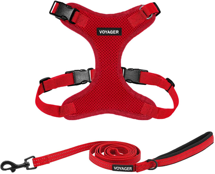 Kit Voyager, Ham anti-evadare pentru pisici cu lesă de 1,5 m, cusături reflectorizante, mâner din neopren, pentru pisici mici, medii și mari, garnitură verde lime/negru, mărimea XS