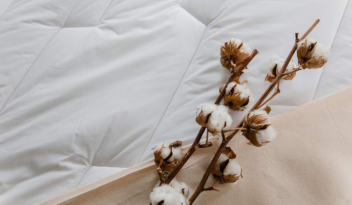COLAS NORMAND Plapumă din bumbac Percale, 260 X 240 cm, de înaltă calitate, 100% bumbac Percale, moale și confortabil, durabil, finisaj fin, fabricat în Franța, alb