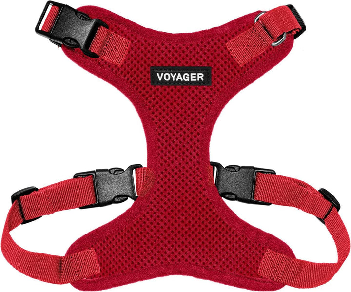 Kit Voyager, Ham anti-evadare pentru pisici cu lesă de 1,5 m, cusături reflectorizante, mâner din neopren, pentru pisici mici, medii și mari, garnitură verde lime/negru, mărimea XS