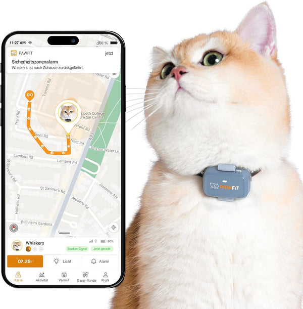 Tracker GPS Pawfit Lite cu 4G pentru Pisici | Urmărire în timp real | Monitorizare activitate | Istoric locații | Rază nelimitată | Include zgardă cu închidere cu capsă | Gri liliac