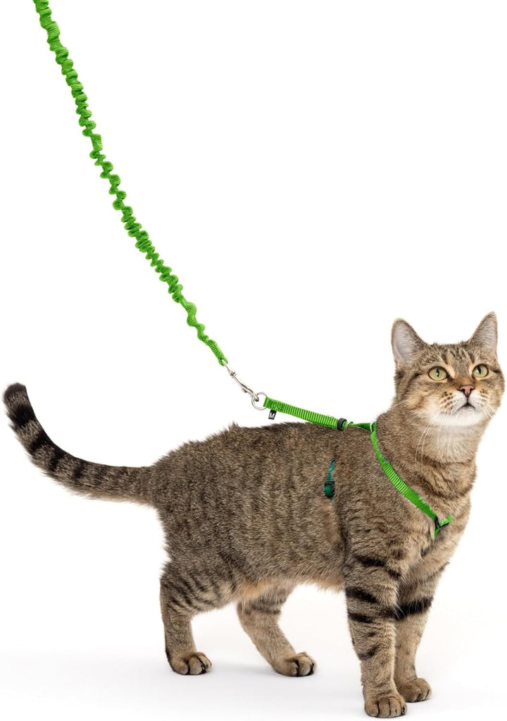 Ham și lesă elastică Petsafe Come with Me Kitty, ham pentru pisici, mărimea S, negru/argintiu