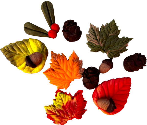 Set 12 decoratiuni comestibile, Toamna