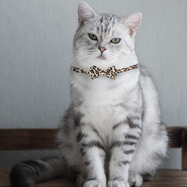 Zgărzi pentru pisici, pachet de 3, imprimeu leopard, reglabile, cu clopoțel, 20-23 cm, pentru pisici de talie mică, modele drăguțe, cataramă în formă de față de pisică