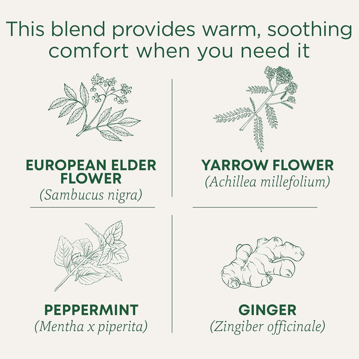 Tea, Herbal Cold Care Seasonal Tea with Elderflower Spice, 96 Tea Bags(Pack of 6) Tea USA Naty Shop