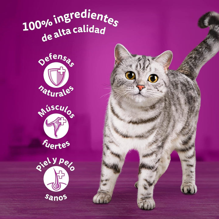 Whiskas Hrană umedă pentru pisici, adulți, Bird's Choice, Jelly, Multipack (4 X 12 pungi X 85 G)