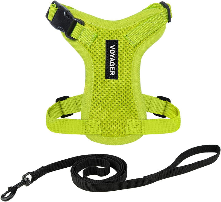 Kit Voyager, Ham anti-evadare pentru pisici cu lesă de 1,5 m, cusături reflectorizante, mâner din neopren, pentru pisici mici, medii și mari, garnitură verde lime/negru, mărimea XS