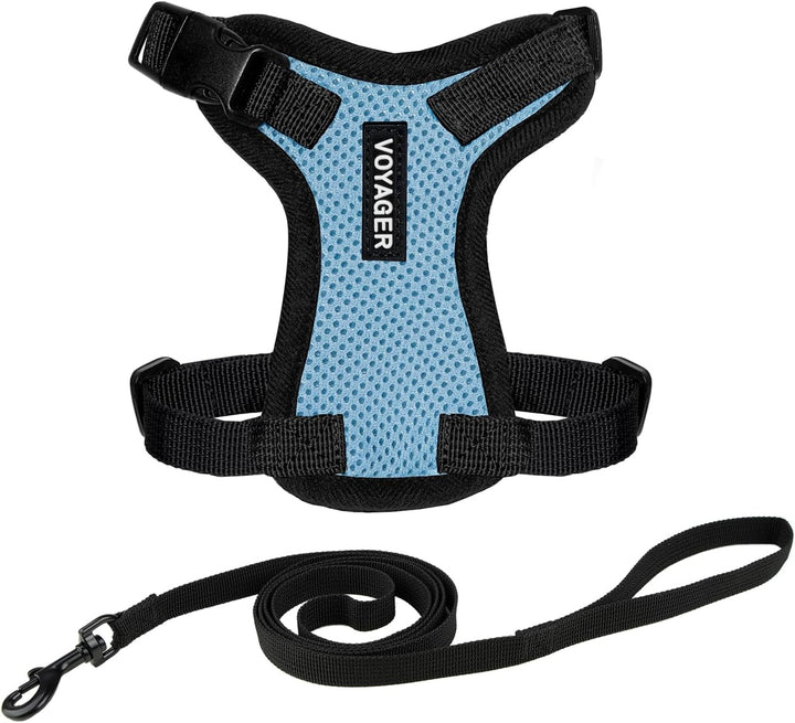 Kit Voyager, Ham anti-evadare pentru pisici cu lesă de 1,5 m, cusături reflectorizante, mâner din neopren, pentru pisici mici, medii și mari, garnitură verde lime/negru, mărimea XS