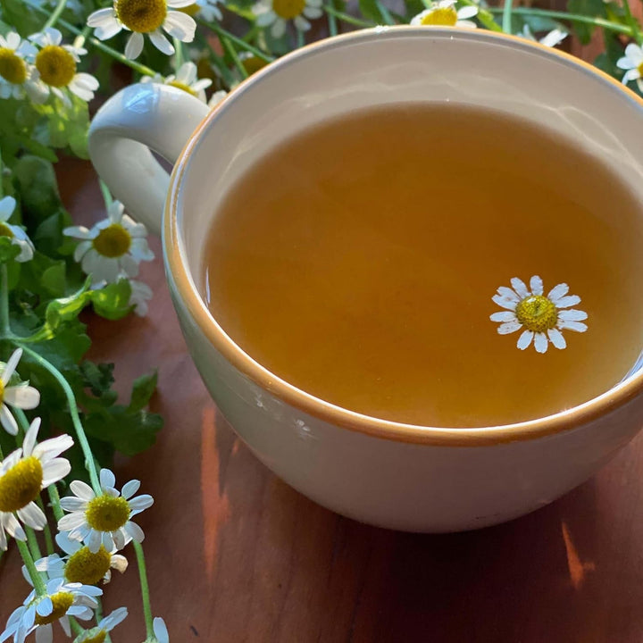 Bigelow Cozy Chamomile Herbal Tea,Caffeine Free Tea with Chamomile Flowers, 100 Count Box (Pack of 1) Tea USA Naty Shop