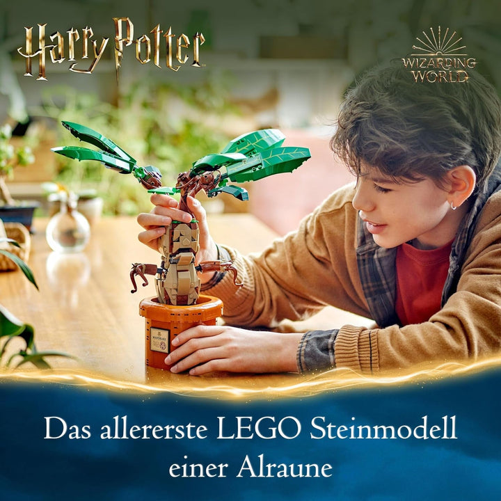 LEGO Harry Potter Magic Potion Plant: Mandrake, jucărie plantă cu ghiveci, cadou magic pentru fete, băieți și toți fanii, set de joacă pentru copii imaginativi, decorațiuni interioare 76433