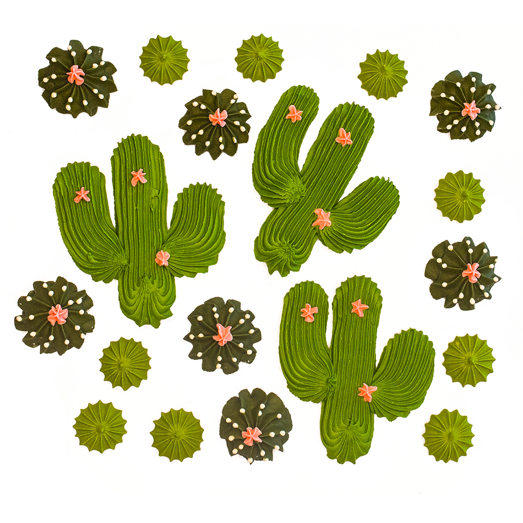 Set decoratiuni din bezea, cactusi